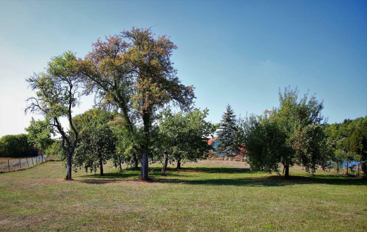 Ferienwohnung Roehrer Obertrubach Exterior foto